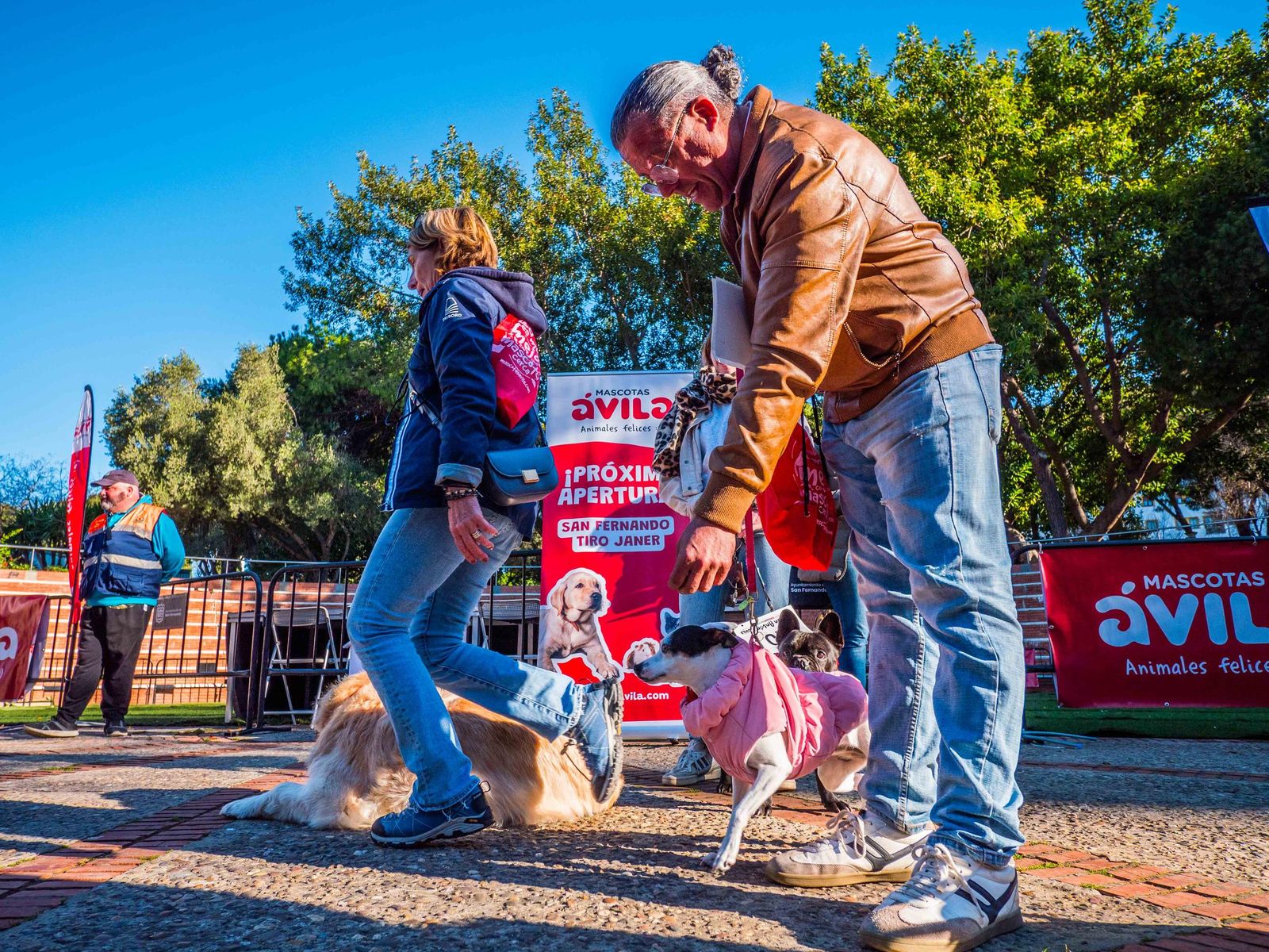 Las imágenes de San Antón 2025 en San Fernando