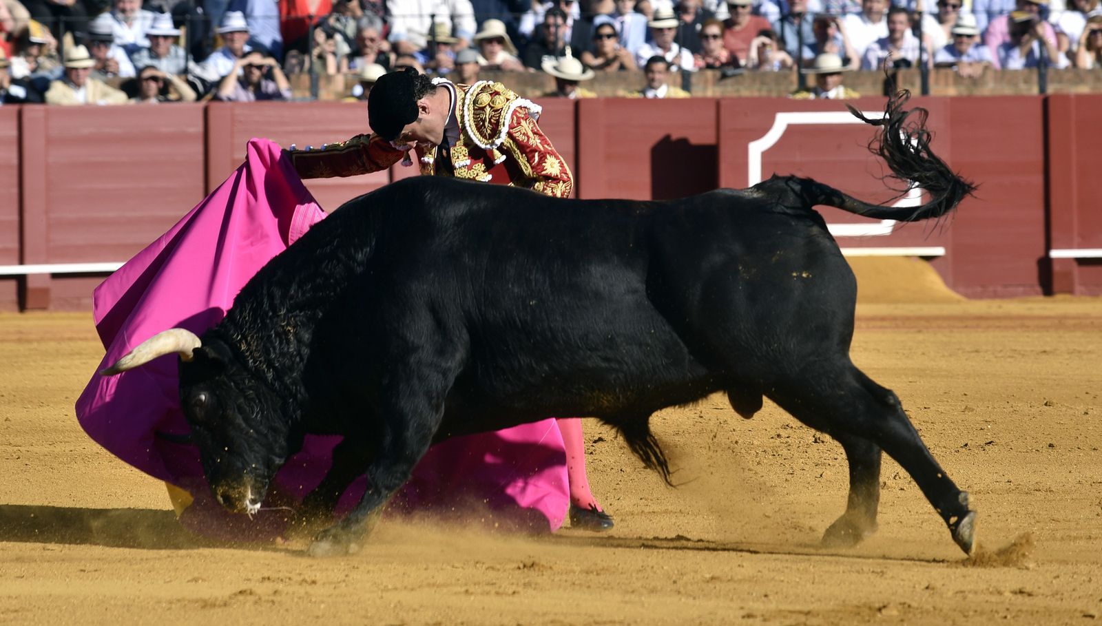 Las imágenes de la 13ª corrida de abono de La Maestranza