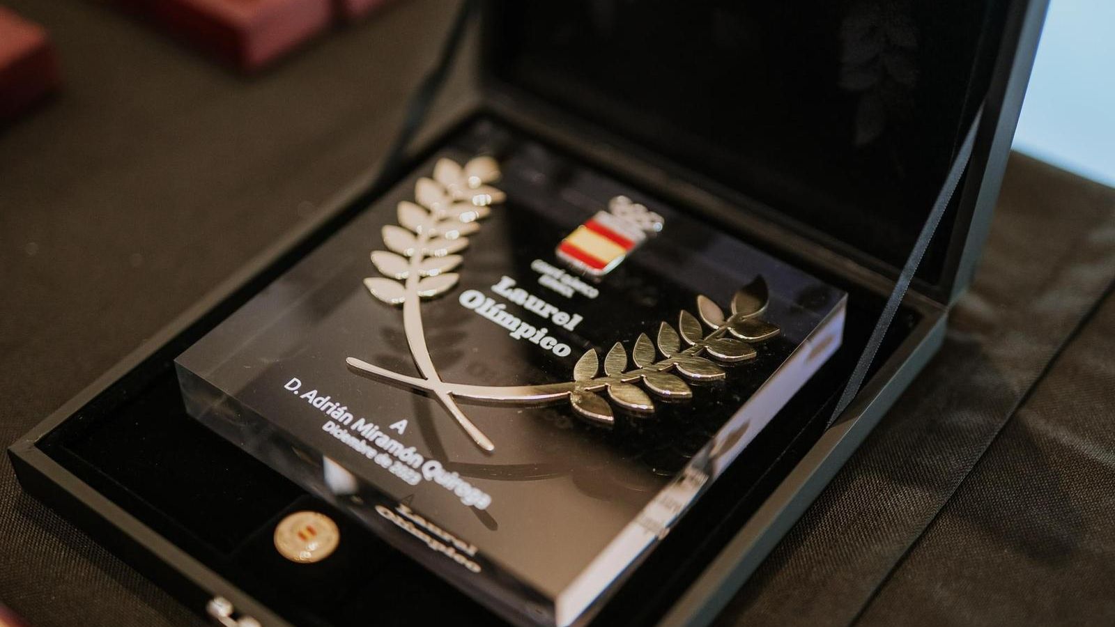 Imagen de la insignia.