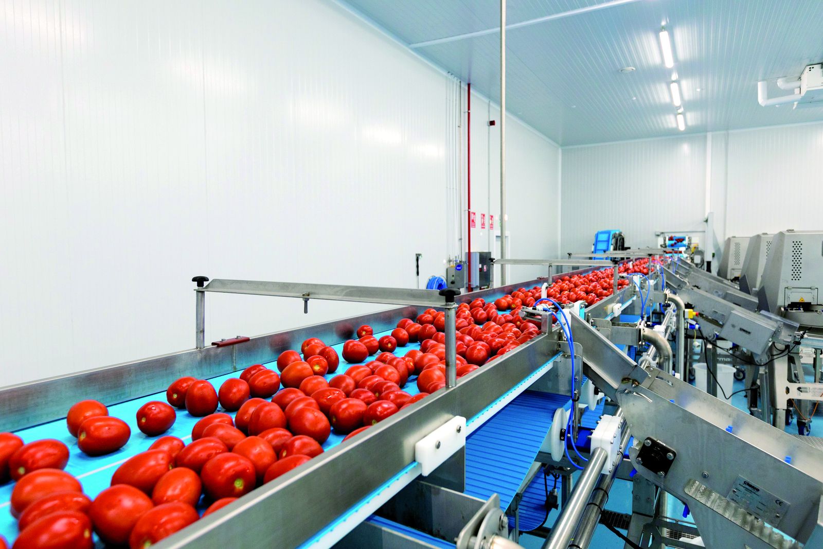 La Unión, lanza la marca ‘I’m perfect’