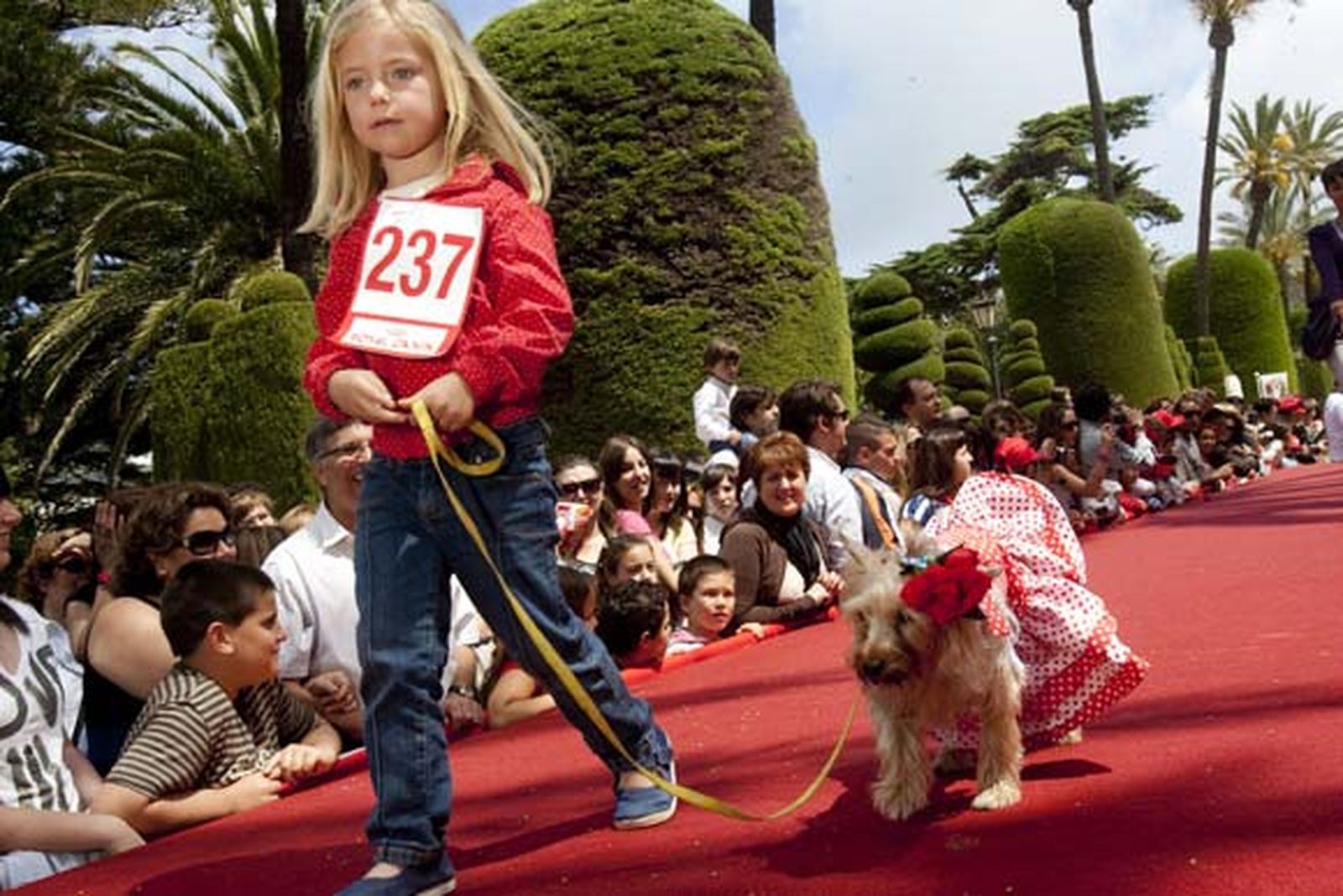 Más de 500 perros participaron en el evento, que contó con una exhibición de las Fuerzas del Orden


Foto: Lourdes de Vicente
