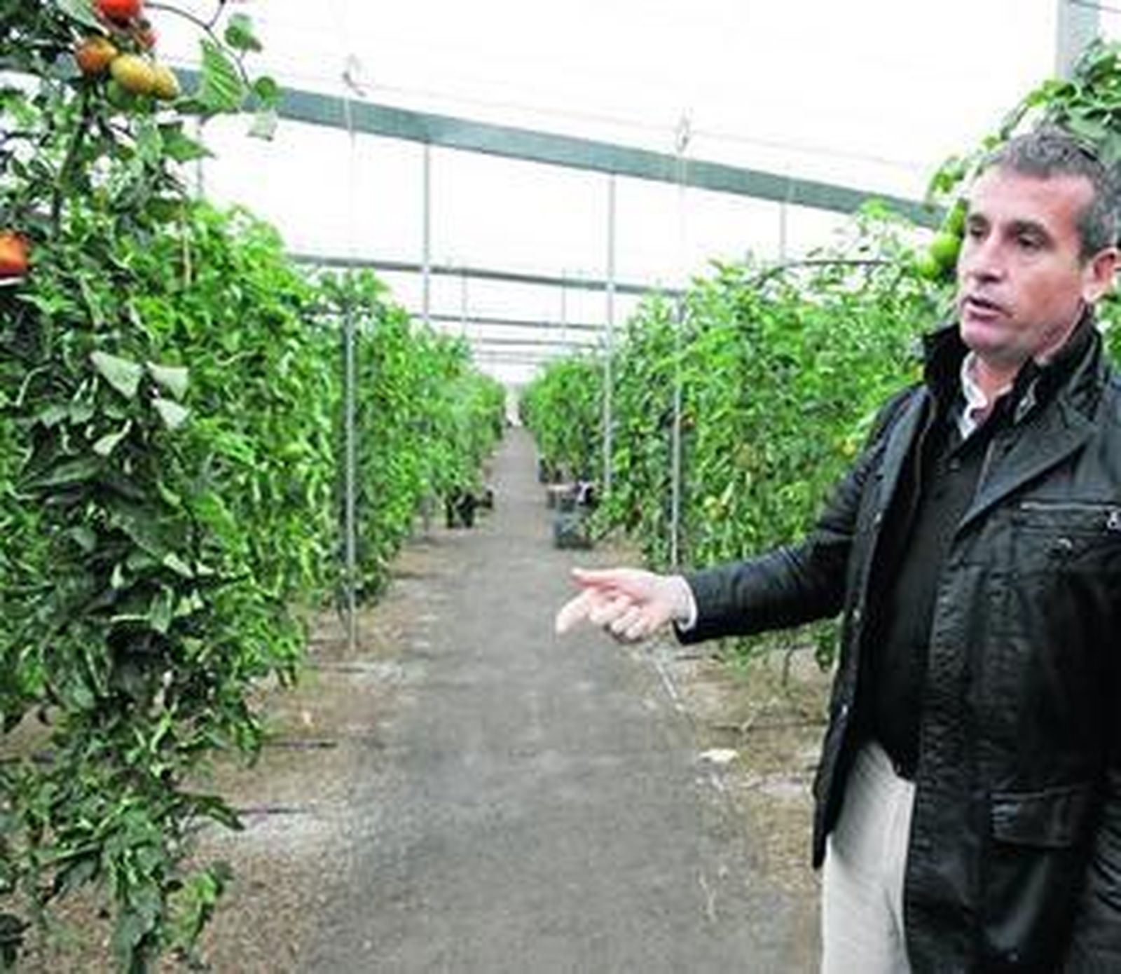 La delegación almeriense de Sakata abrió sus puertas hace más de una década.