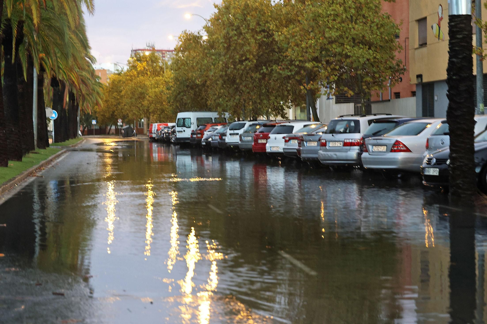 Imágenes del caos en Huelva por la borrasca Claudia con inundaciones, riadas y cortes de carreteras