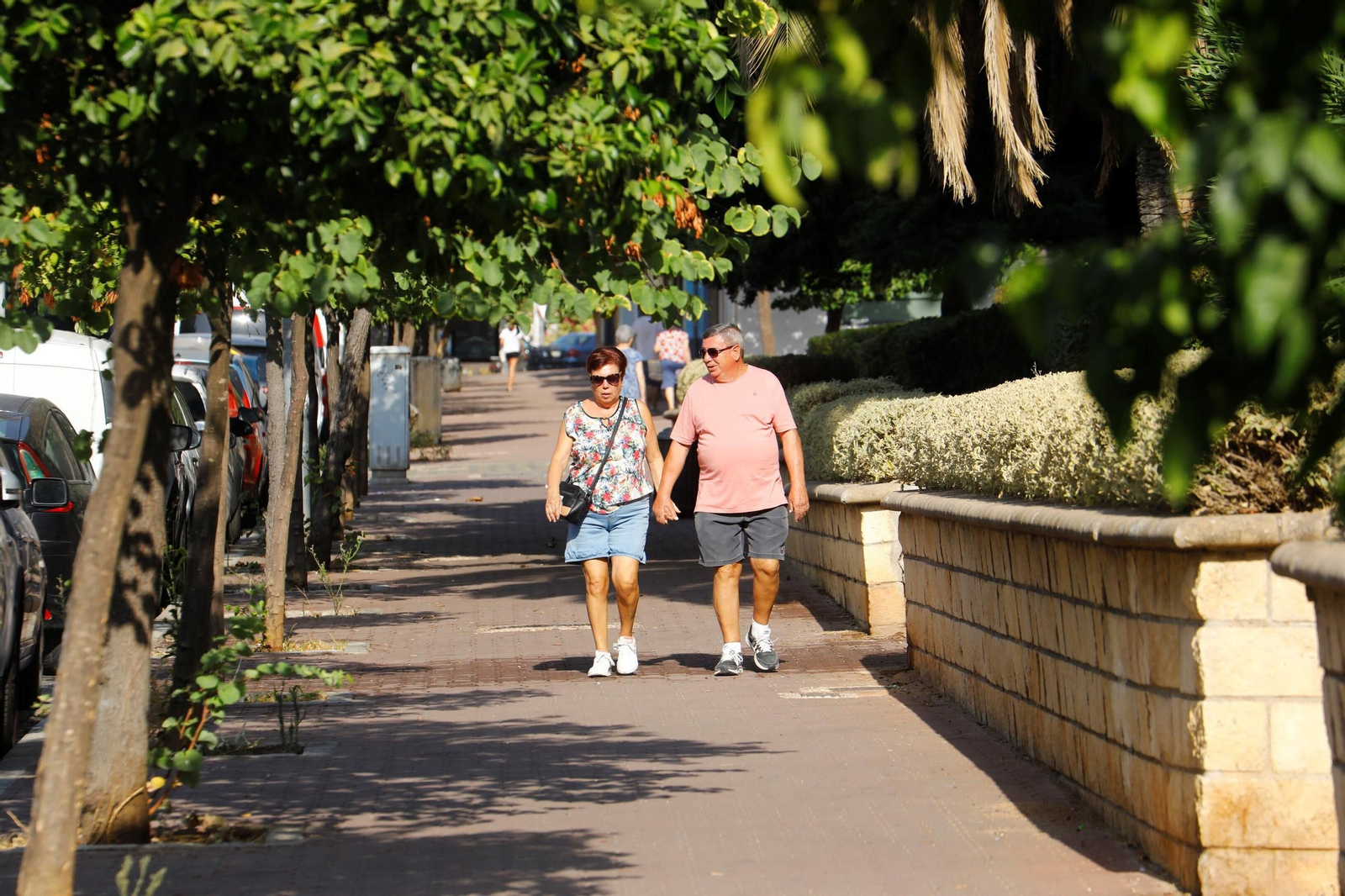 Un paseo por el barrio de Fátima una mañana de verano en Córdoba, en imágenes