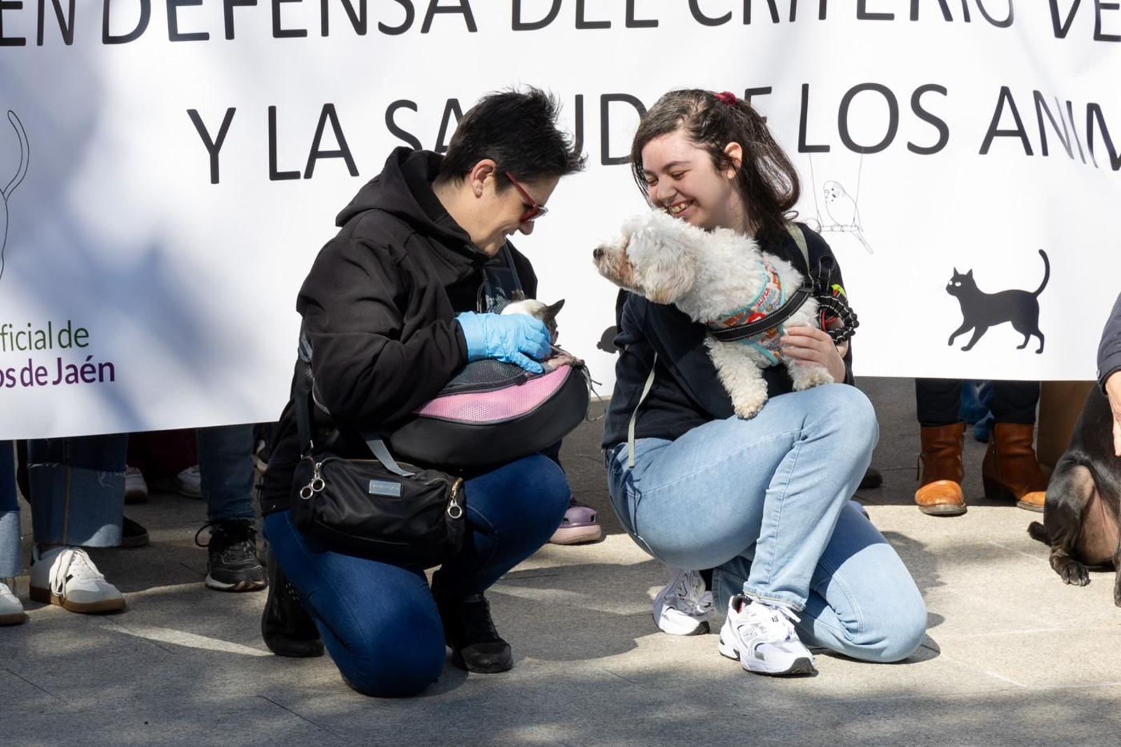 Concentración de veterinarios en protesta contra el real decreto 666/2023