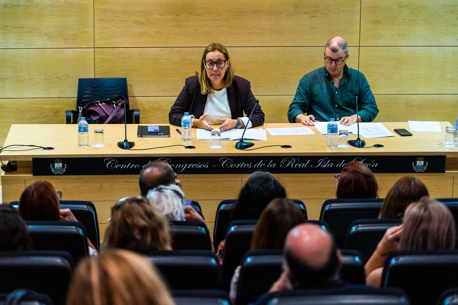 Reunión del Consejo Local del Mayor en San Fernando
