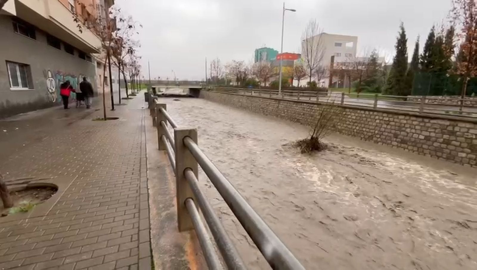 El río Monachil, a gran velocidad y crecido a su paso por el Zaidín