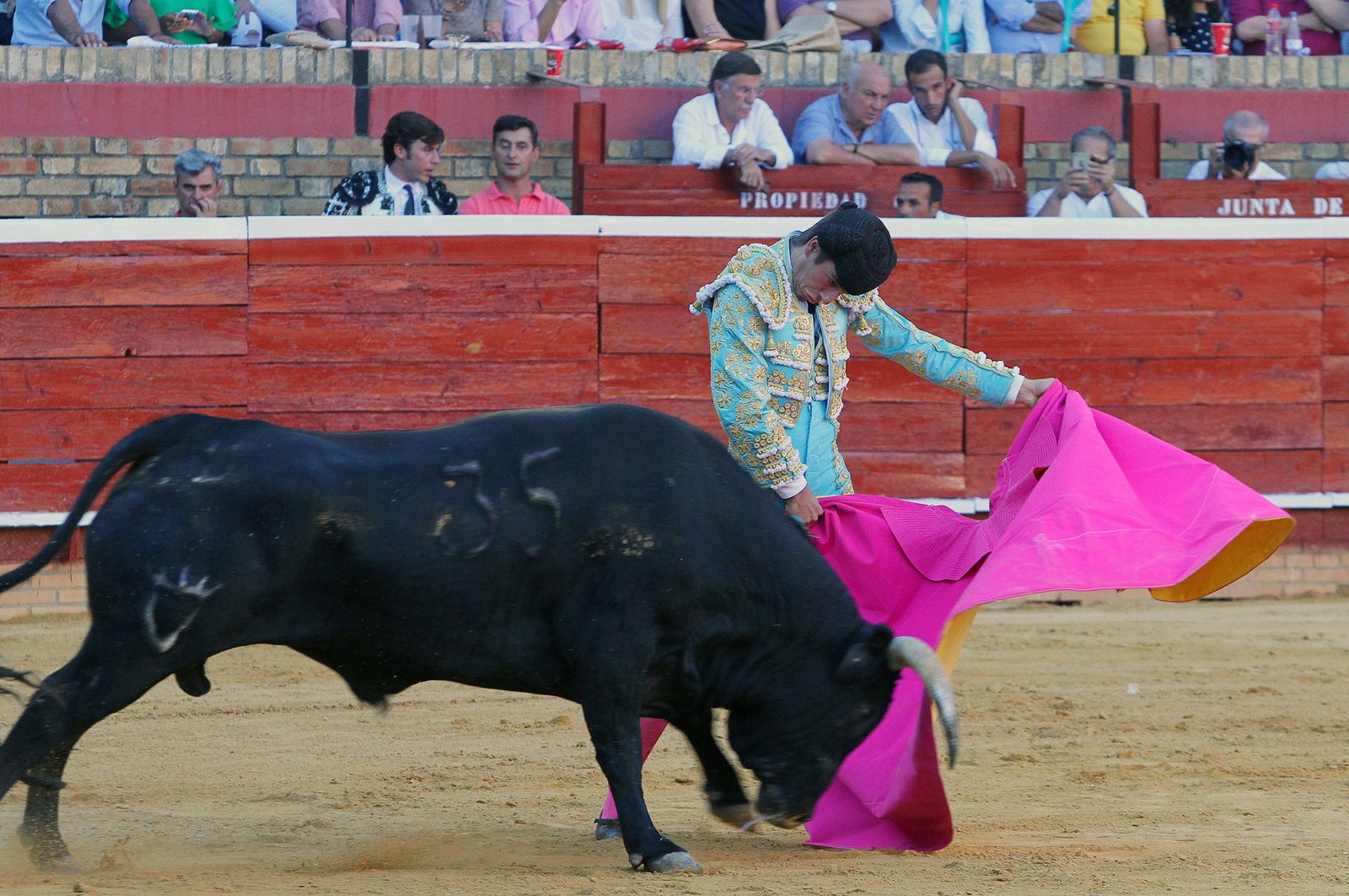 Imágenes de la Novillada de Rafael Serna, Emilio Silvera y Rodrigo Molina.