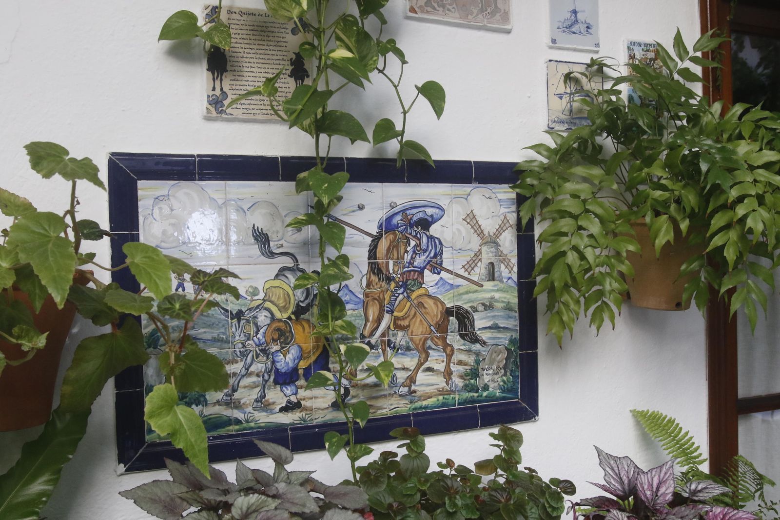 Los Patios en otoño, en fotografías