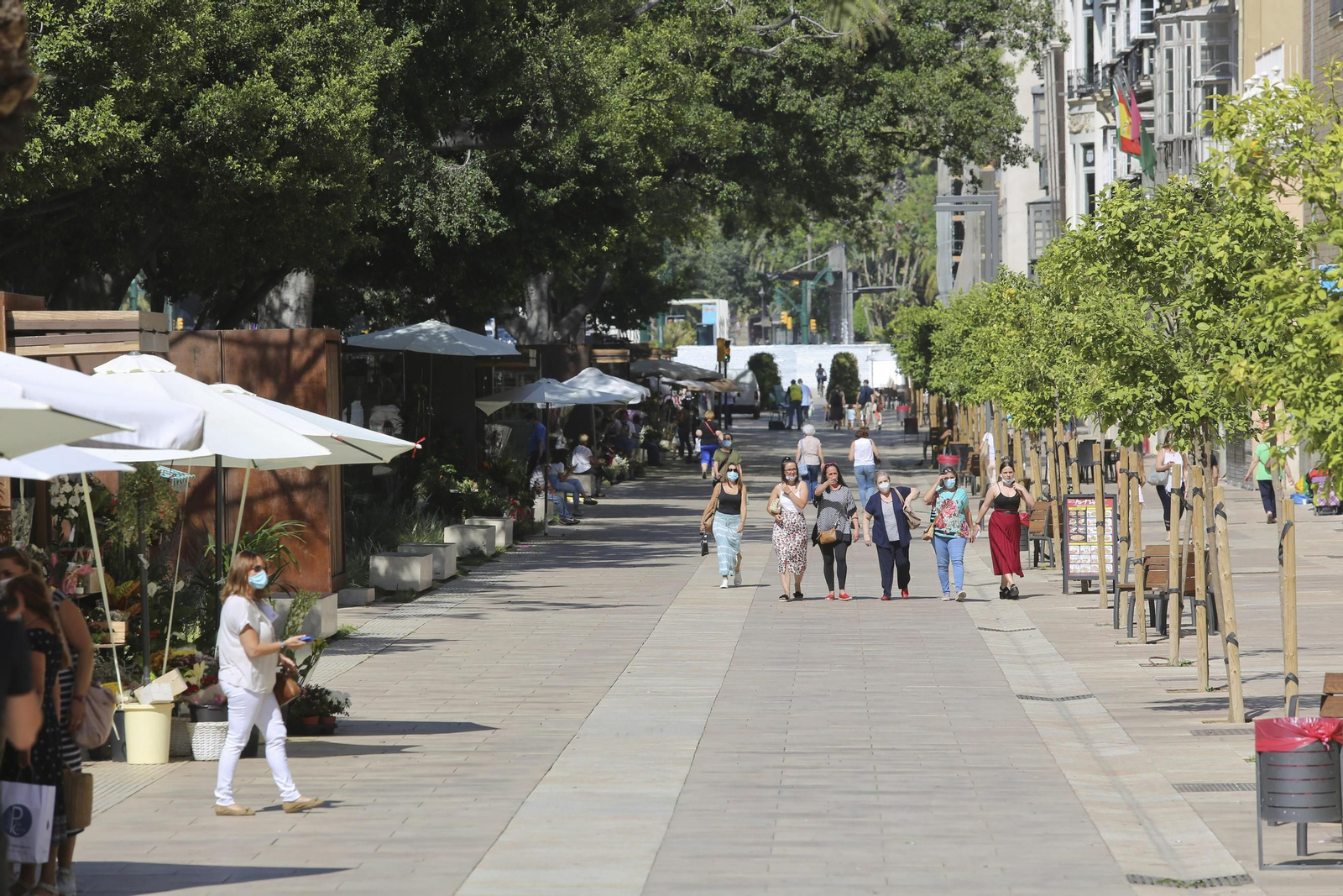 Las fotos de la Alameda Principal de Málaga Las fotos de la Alameda Principal de Málaga