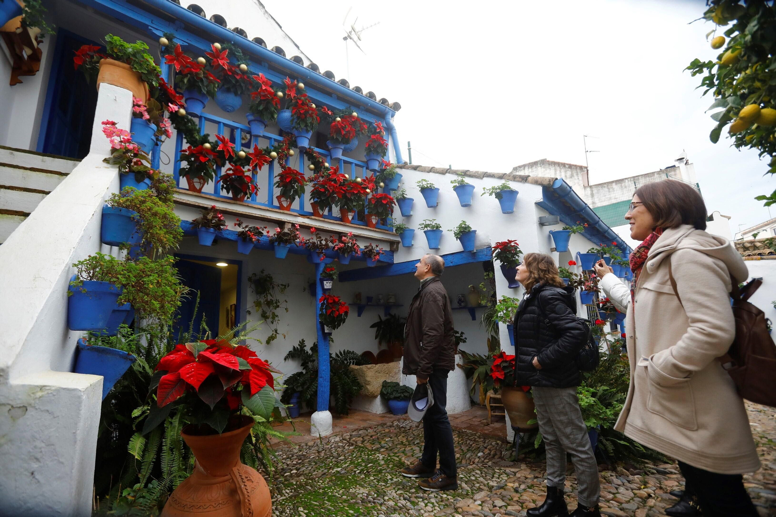 Las mejores imágenes de la apertura de los Patios en Navidad