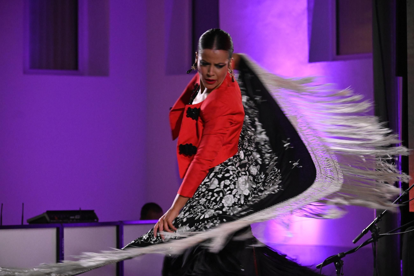 Imágenes del espectáculo de la bailaora María Canea en Huelva