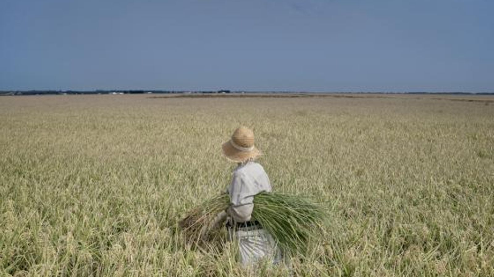 Imagen de Aitor Lara, que retrató la pandemia en los pueblos de las marismas del Guadalquivir.