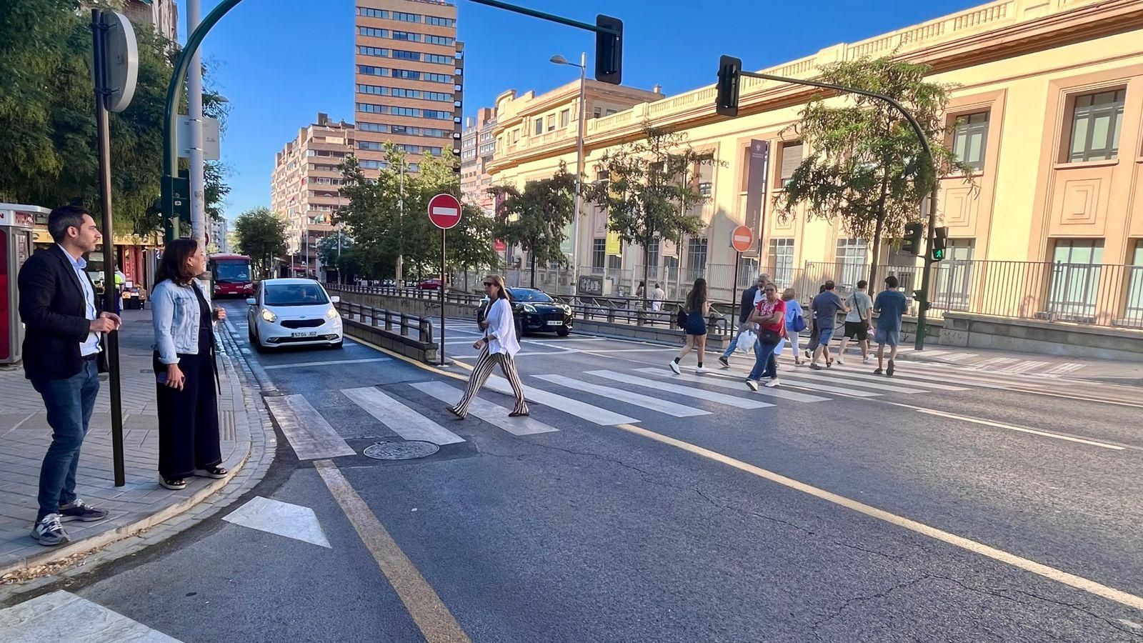 Imagen del paso de peatones instalado en la Avenida de Madrid de Granada