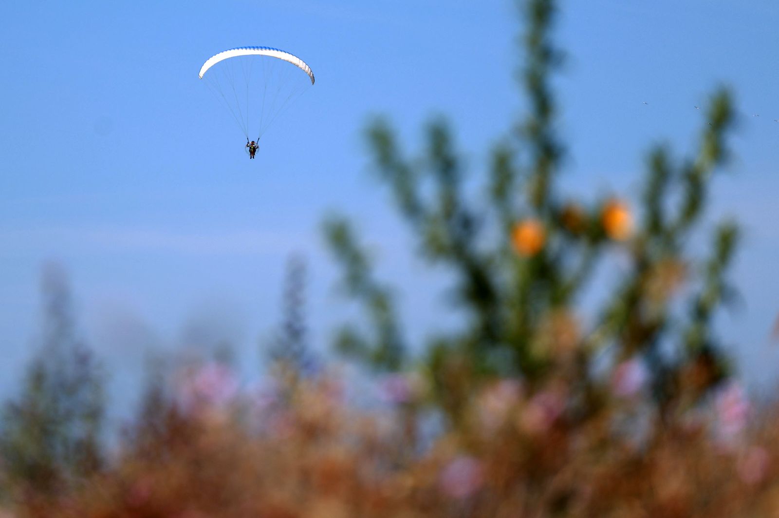 Las mejores imágenes del domingo 12 de mayo en Huelva