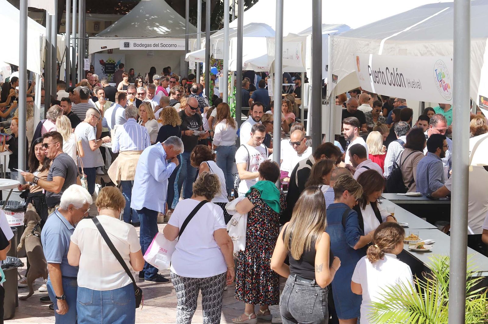 Imágenes del gran ambiente en el segundo día de la Feria de la Tapa