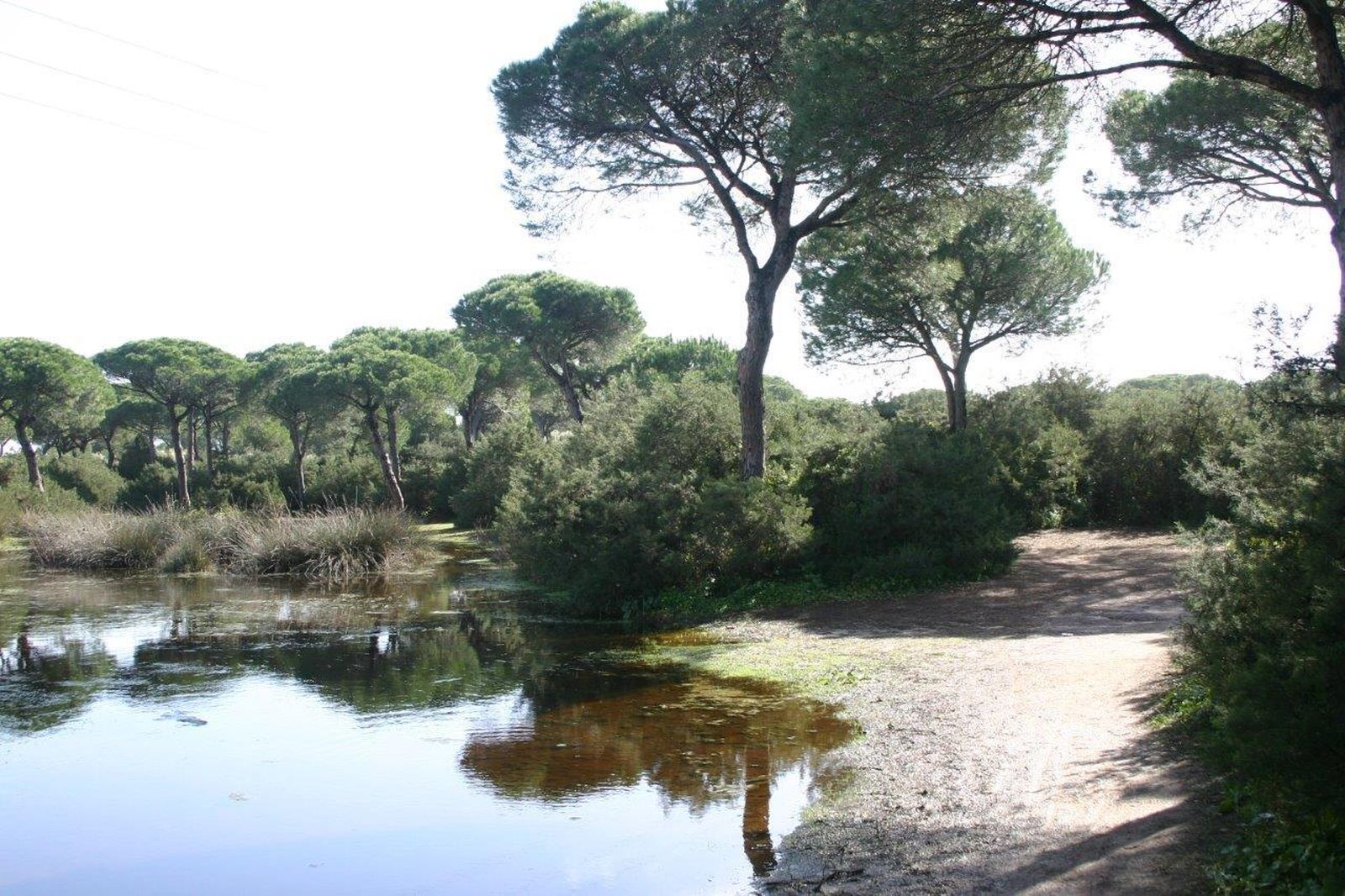 El Coto de la Isleta se incluye dentro de la propuesta de ampliación del Parque Natural.