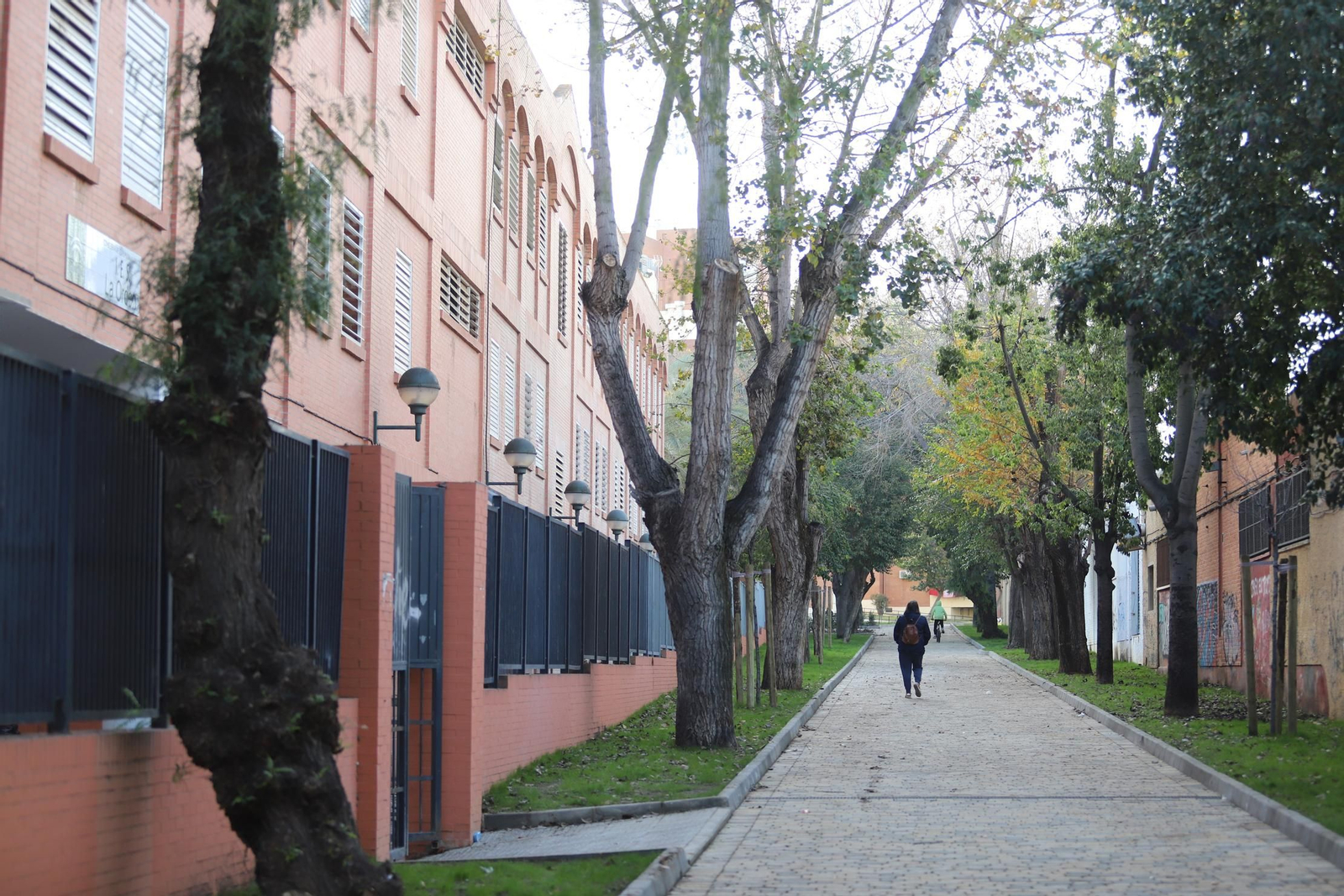 Imágenes de remodelación del área peatonal de Santa Marta