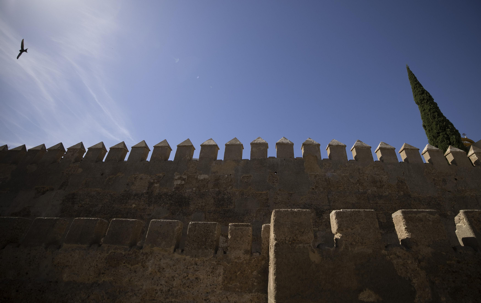 La muralla de la Macarena como nunca la viste, todas las imágenes