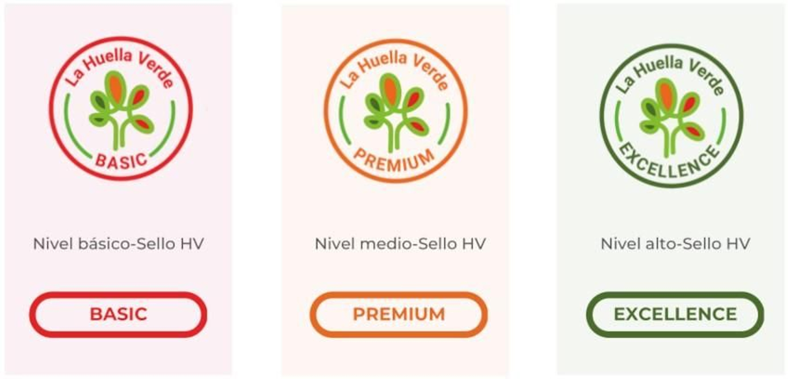 Imagen remitida por la UGR.