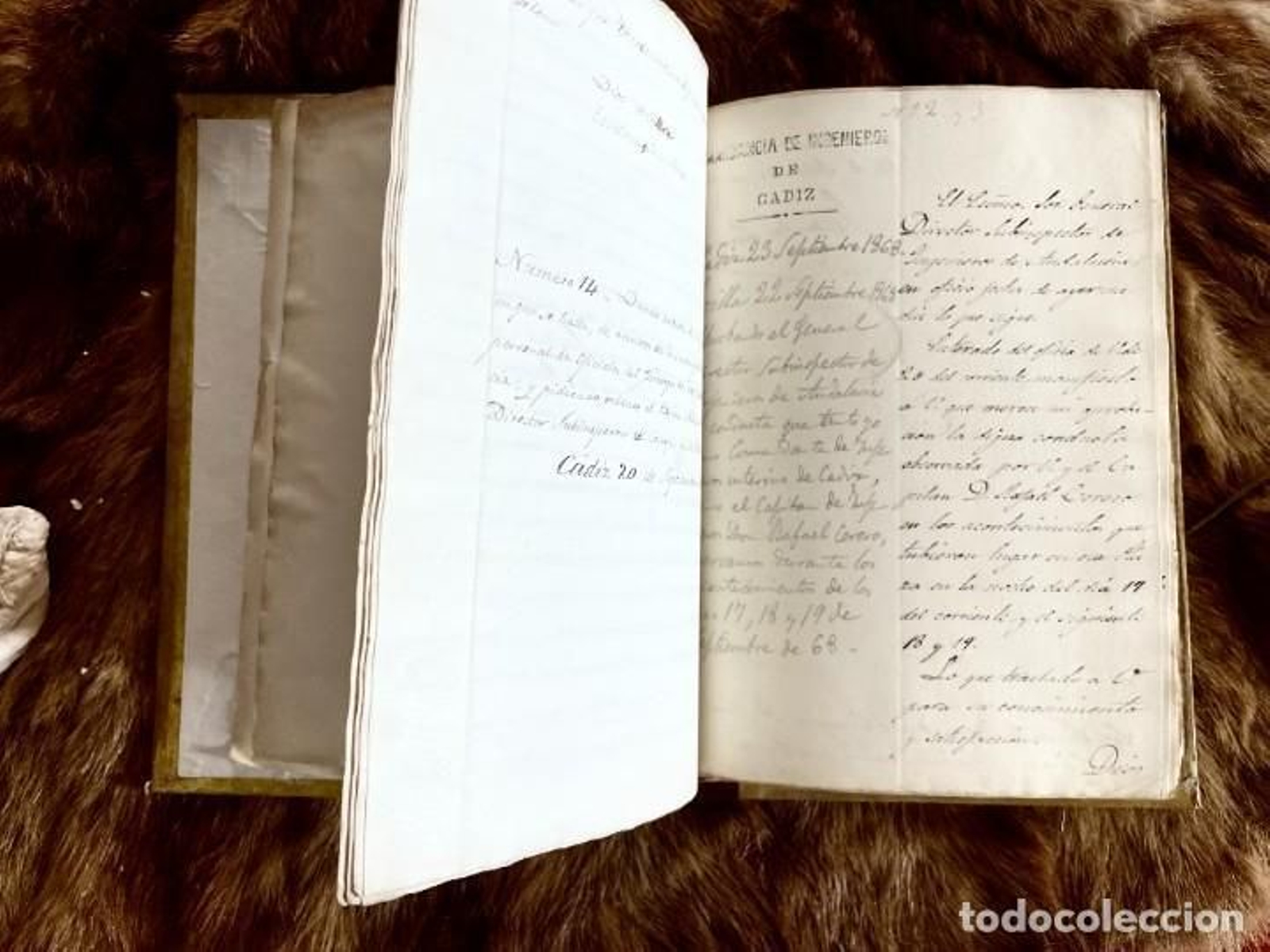 Imagen del manuscrito.