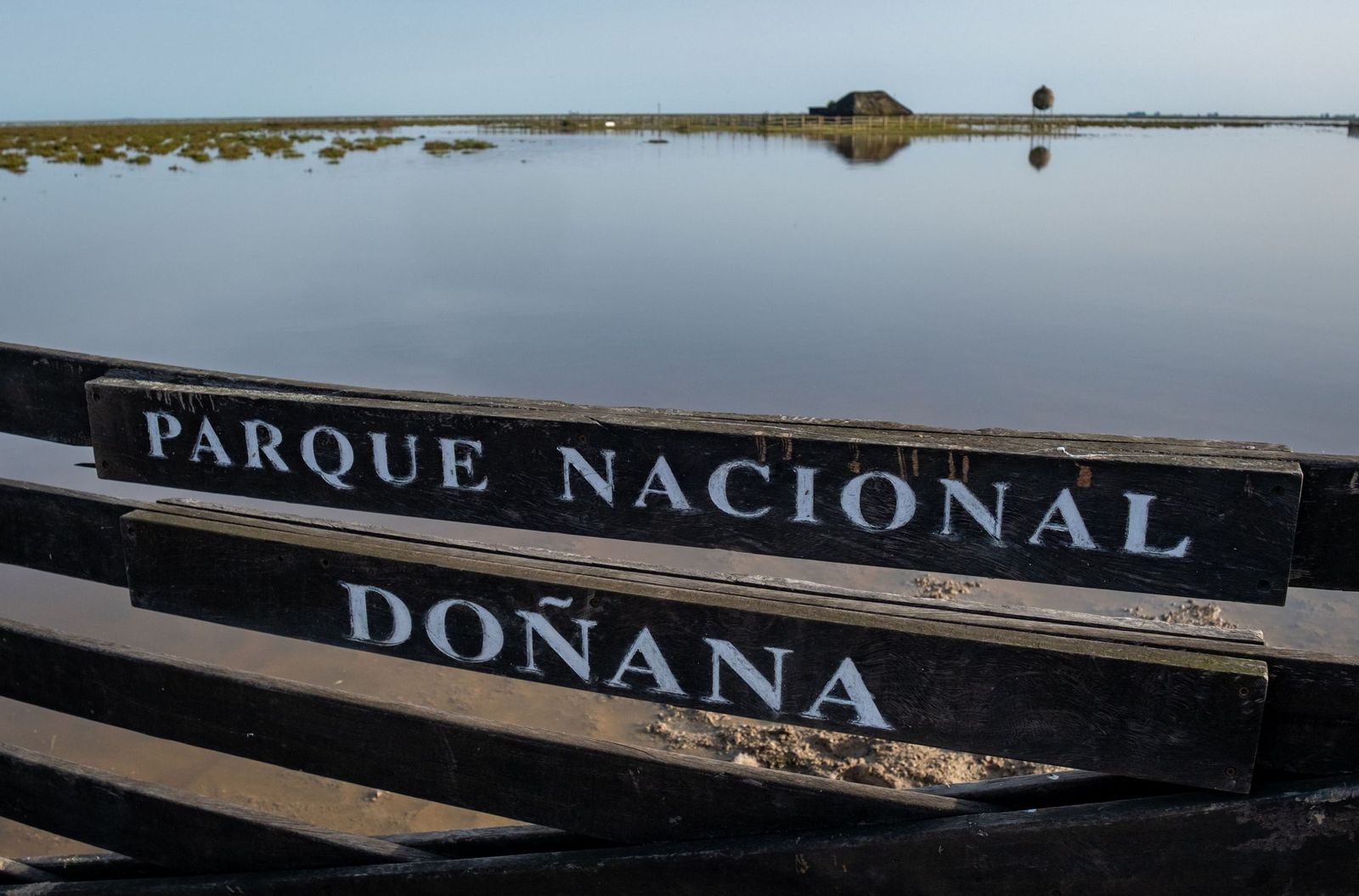 Parque Nacional de Doñana