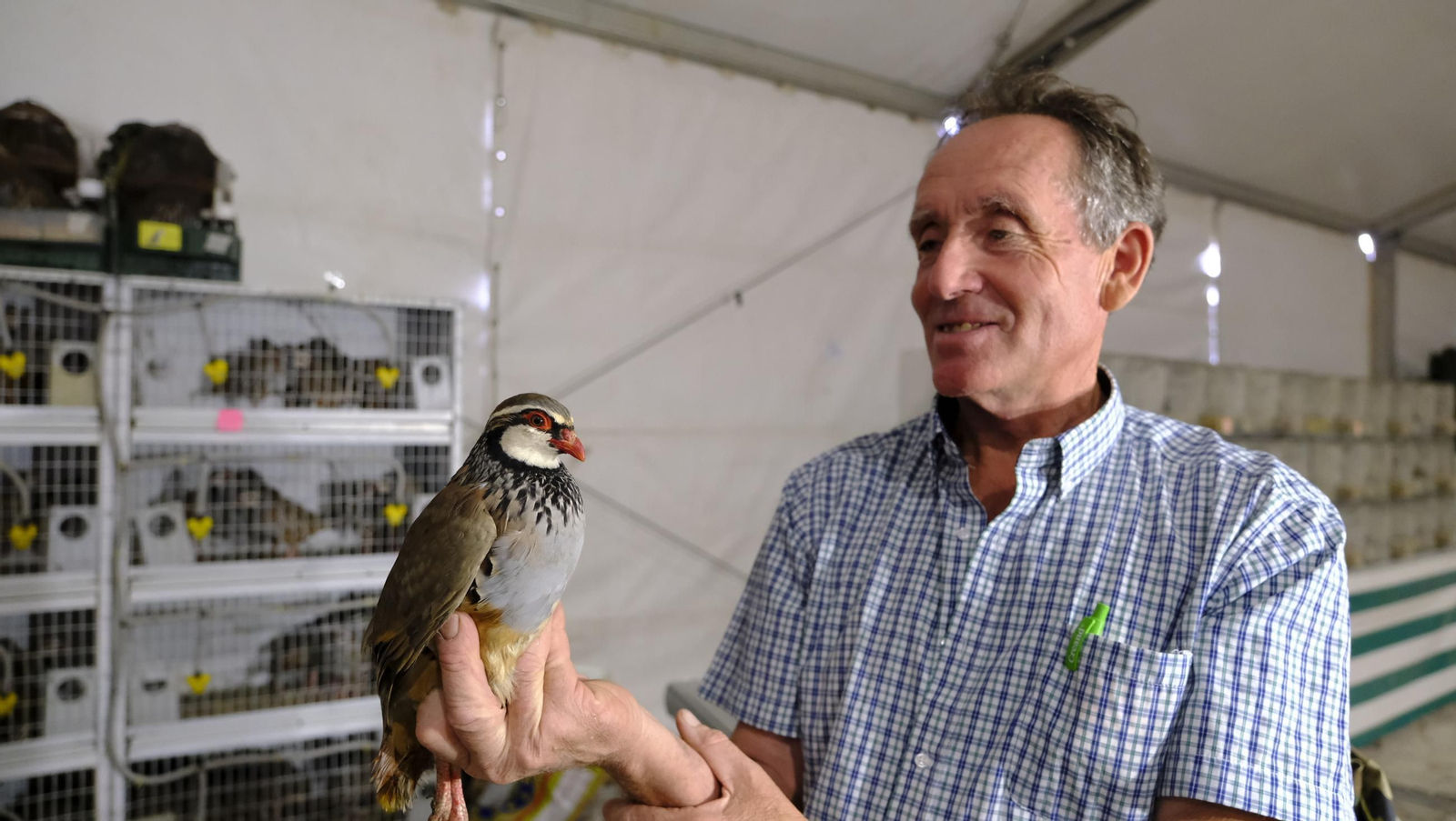 Las fotos de la Feria del Ganado y del Pájaro Perdiz en Albox