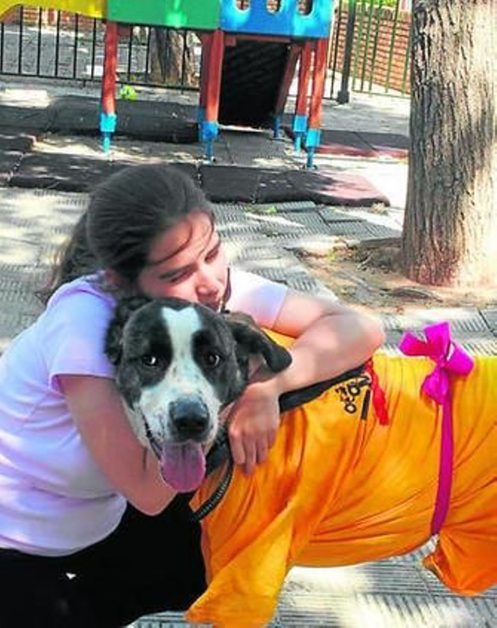 Una niña abraza a uno de los perros terapéuticos.