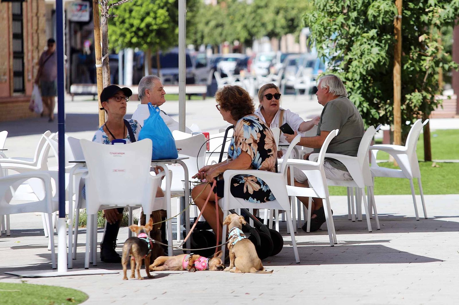 Imágenes del martes 29 de agosto en Huelva