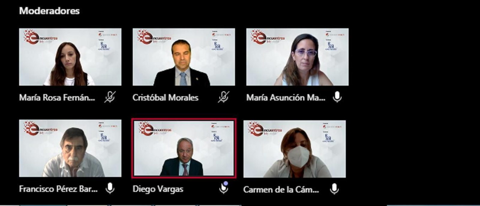 Captura de los participantes del coloquio digital celebrado el pasado día 29 de septiembre.