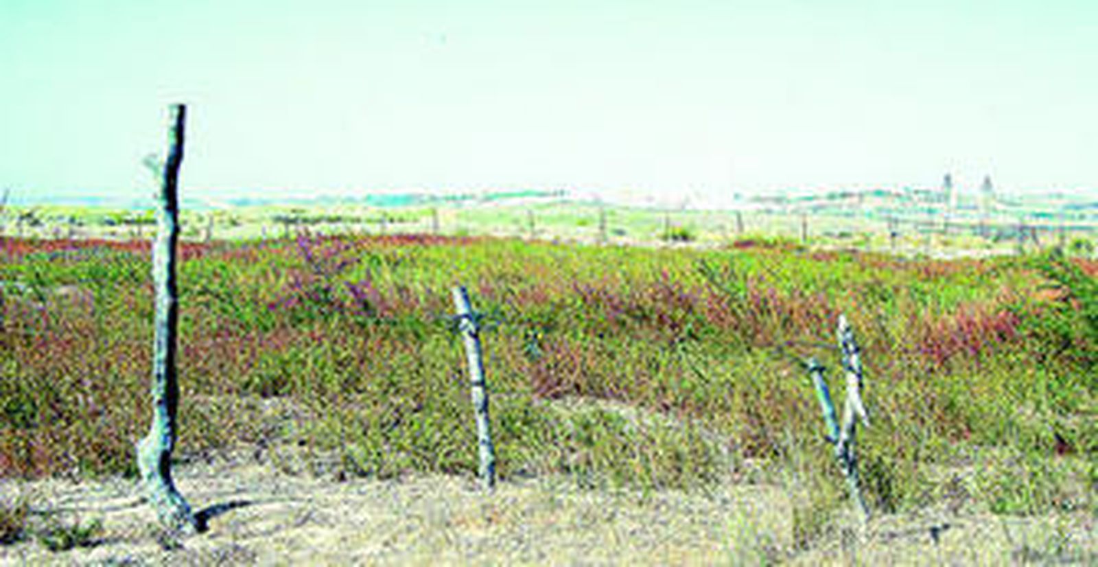 La playa de El Palmar, en cuya zona del arroyo de Malcucaña, cercana al término municipal de Conil, hay proyectado un complejo hotelero.