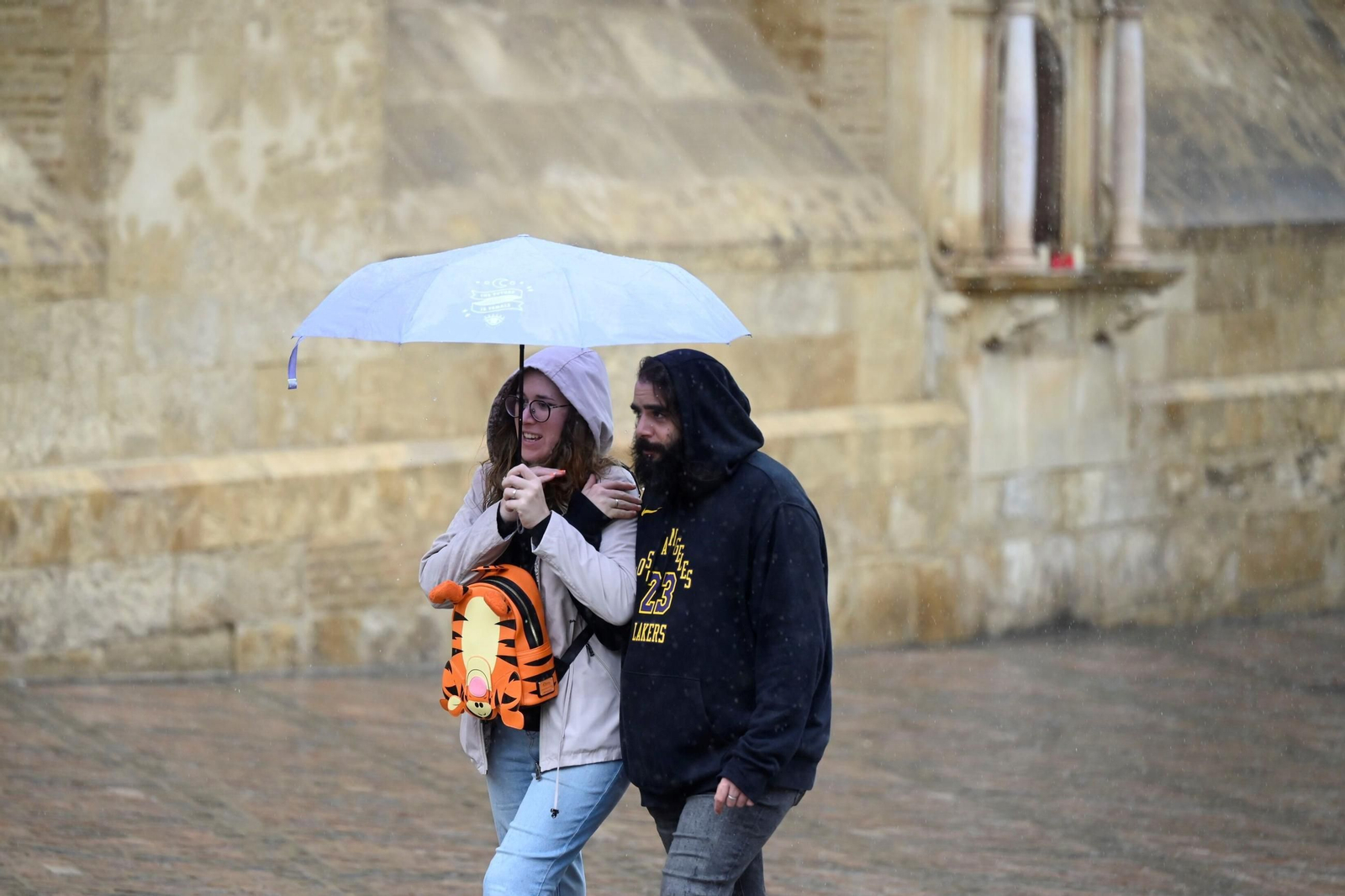 El paso de la borrasca Berenice por Córdoba, en imágenes