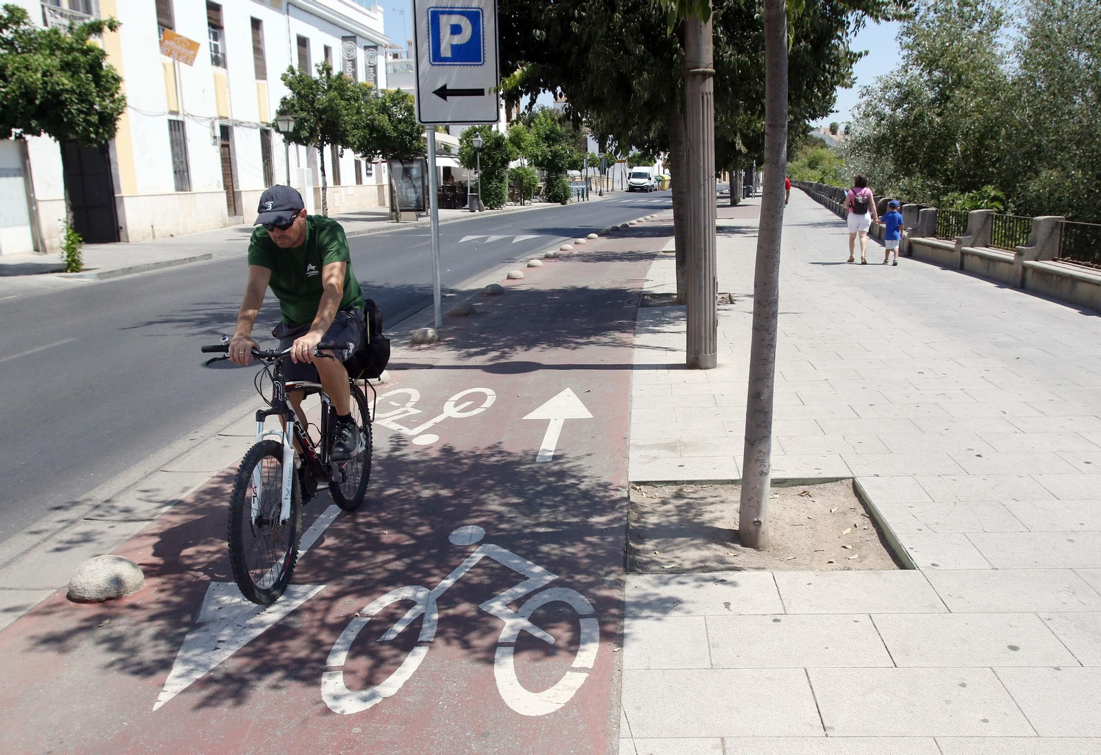 Un ciclista circula por la Ribera.