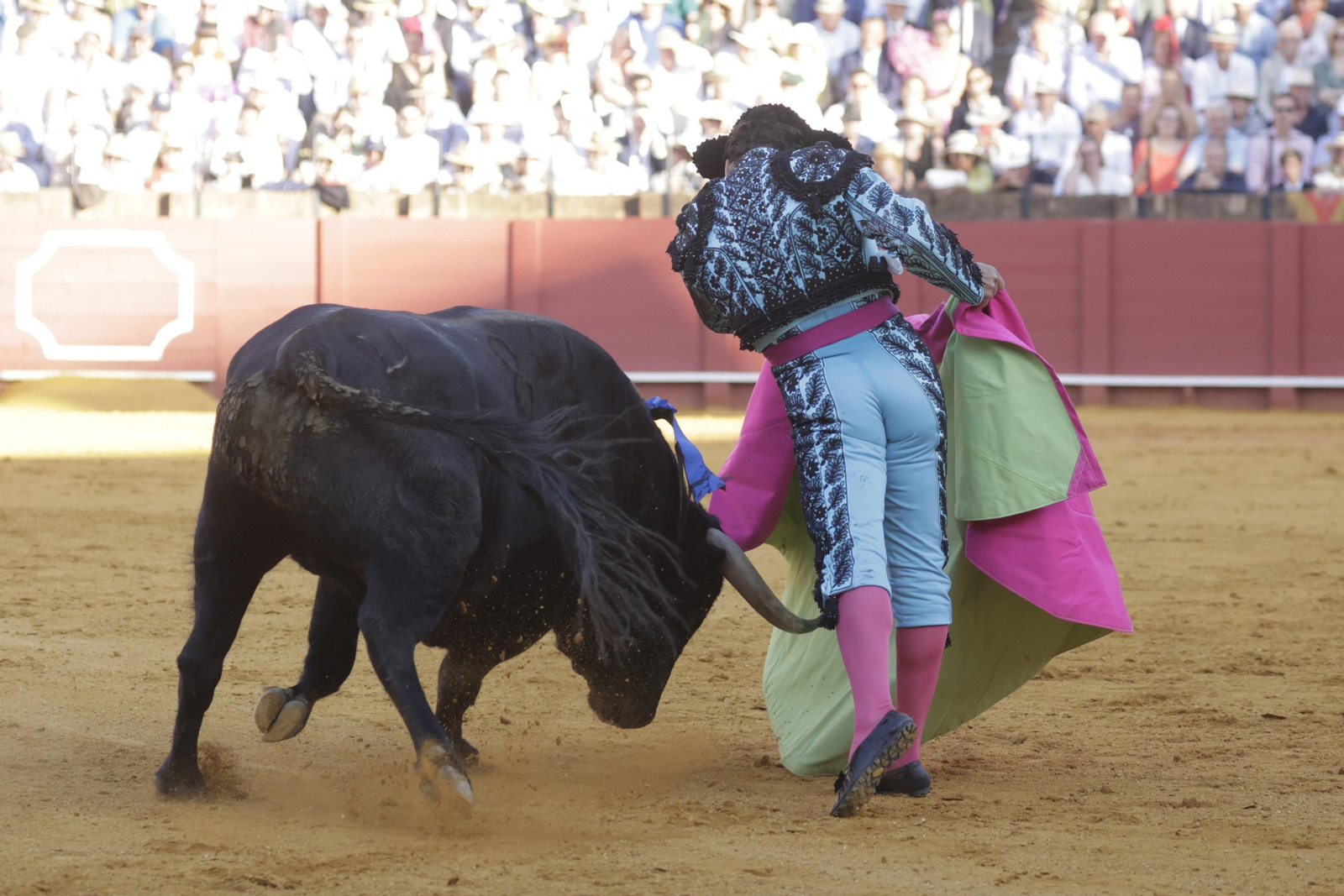 Las imágenes del festejo