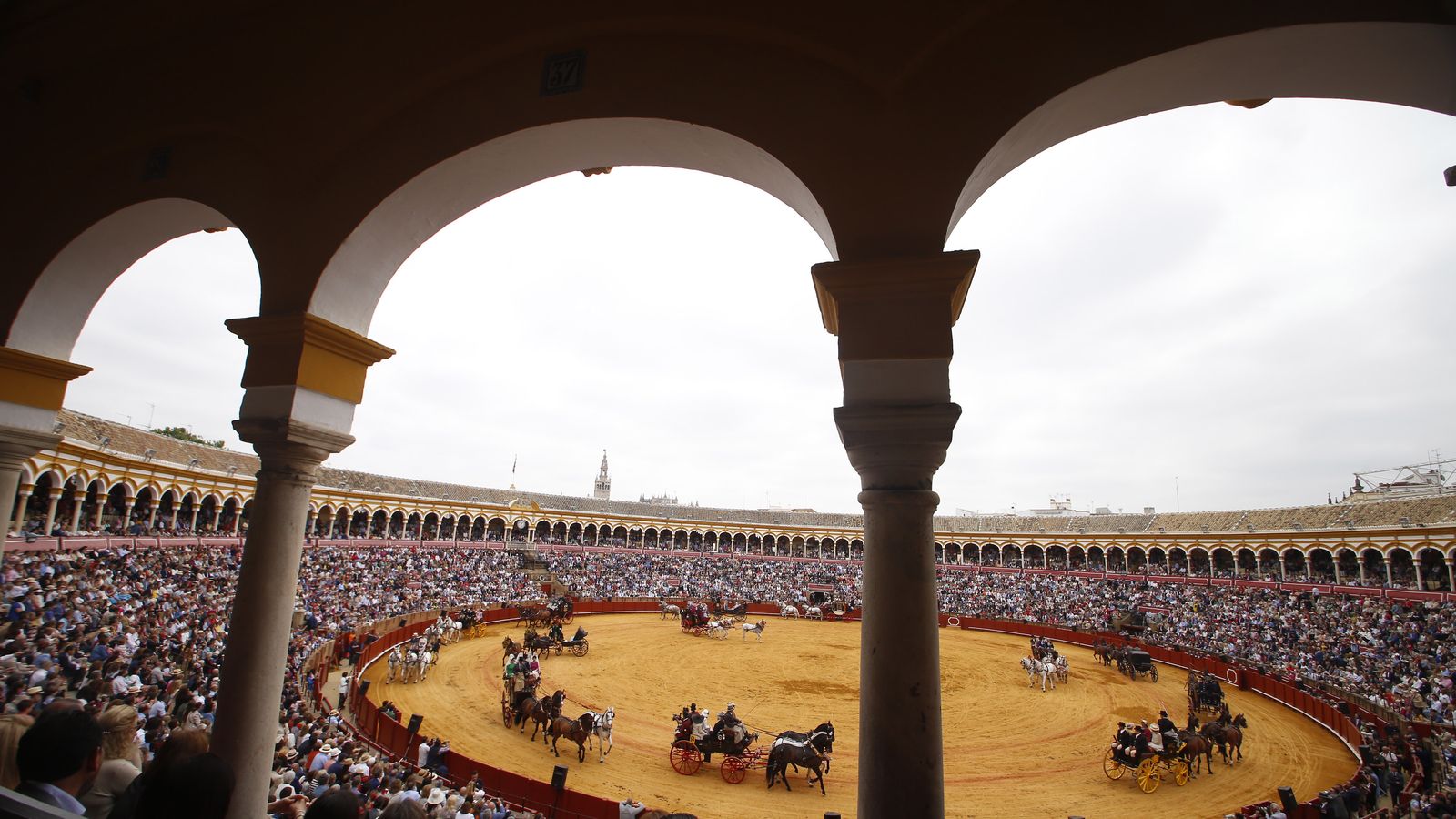 Exhibición de enganches en la Real Maestranza.
