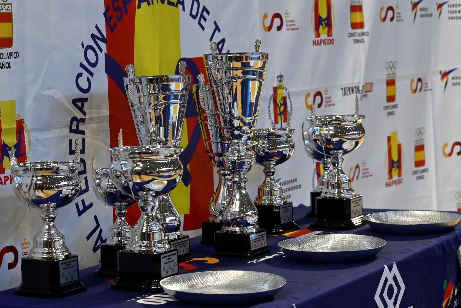 Las mejores fotos del Campeonato de España de taekwondo celebrado en Córdoba