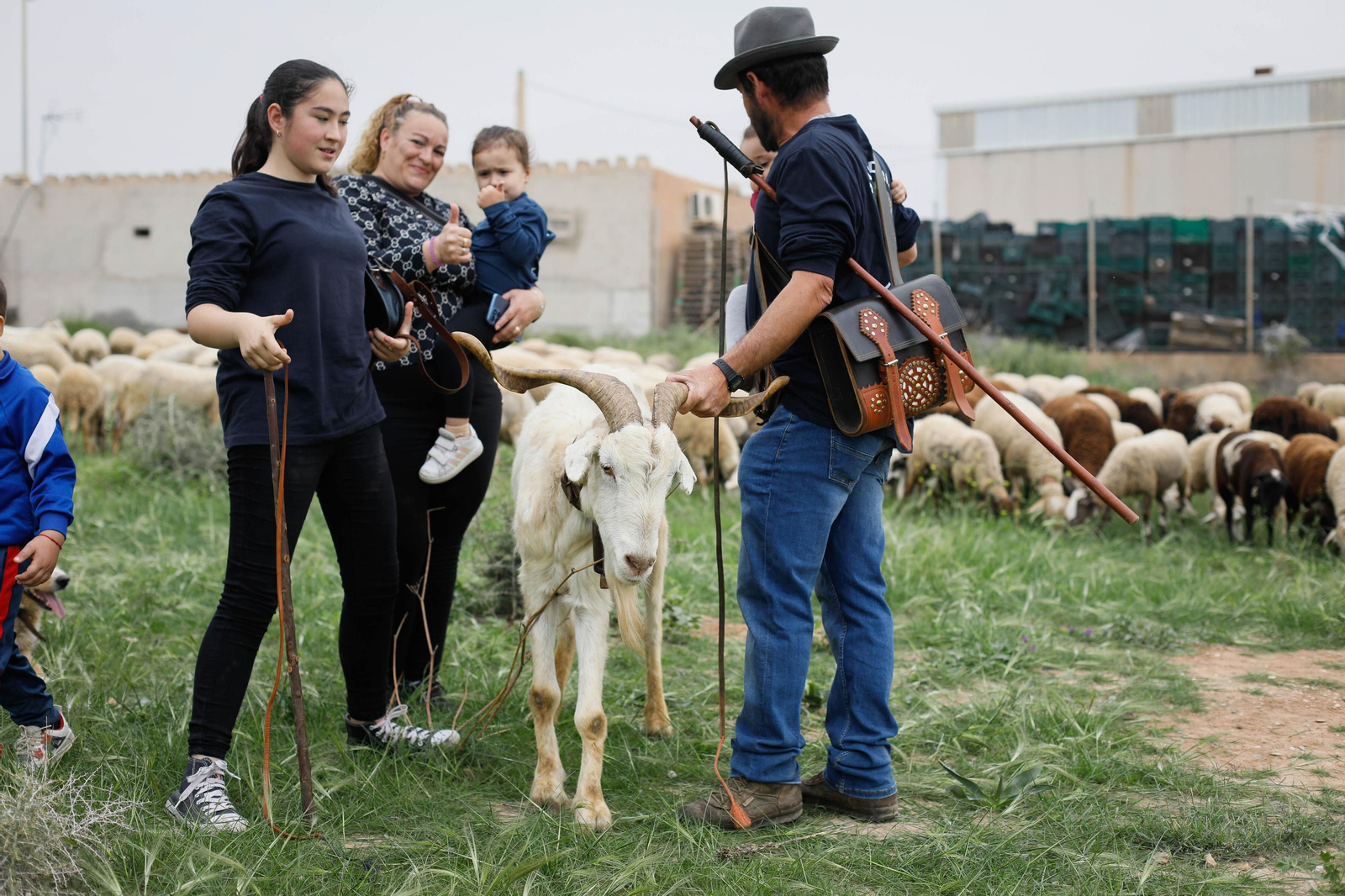Galería de la Feria  de ganado en Tarambana