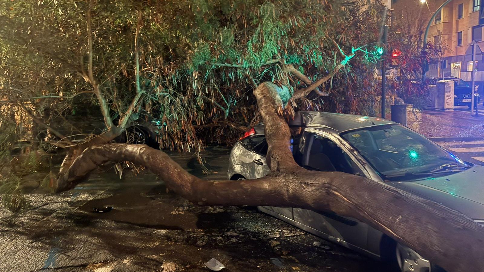 Así quedó el automóvil.