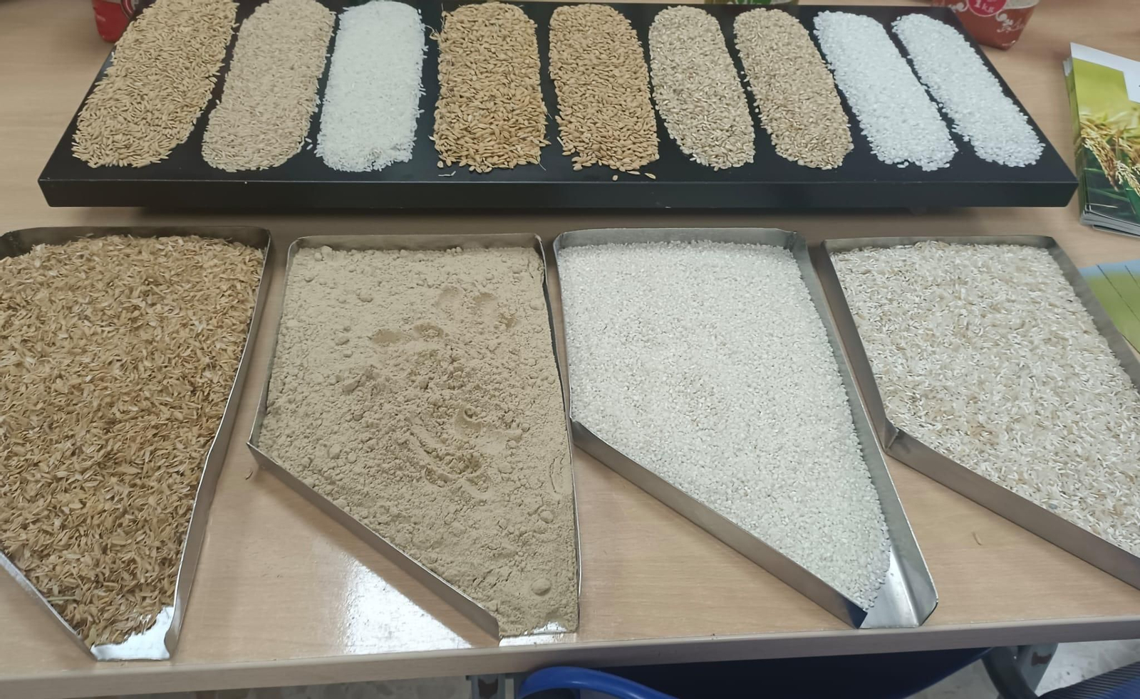 Diferentes tipos de arroz de la marisma sevillana y su proceso de elaboración.