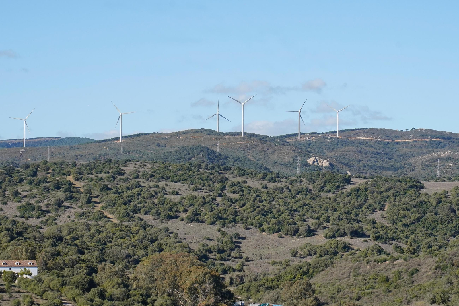 Las fotos de la inauguración de los parques eólicos El Padrón y Cerro Cabello de Los Barrios