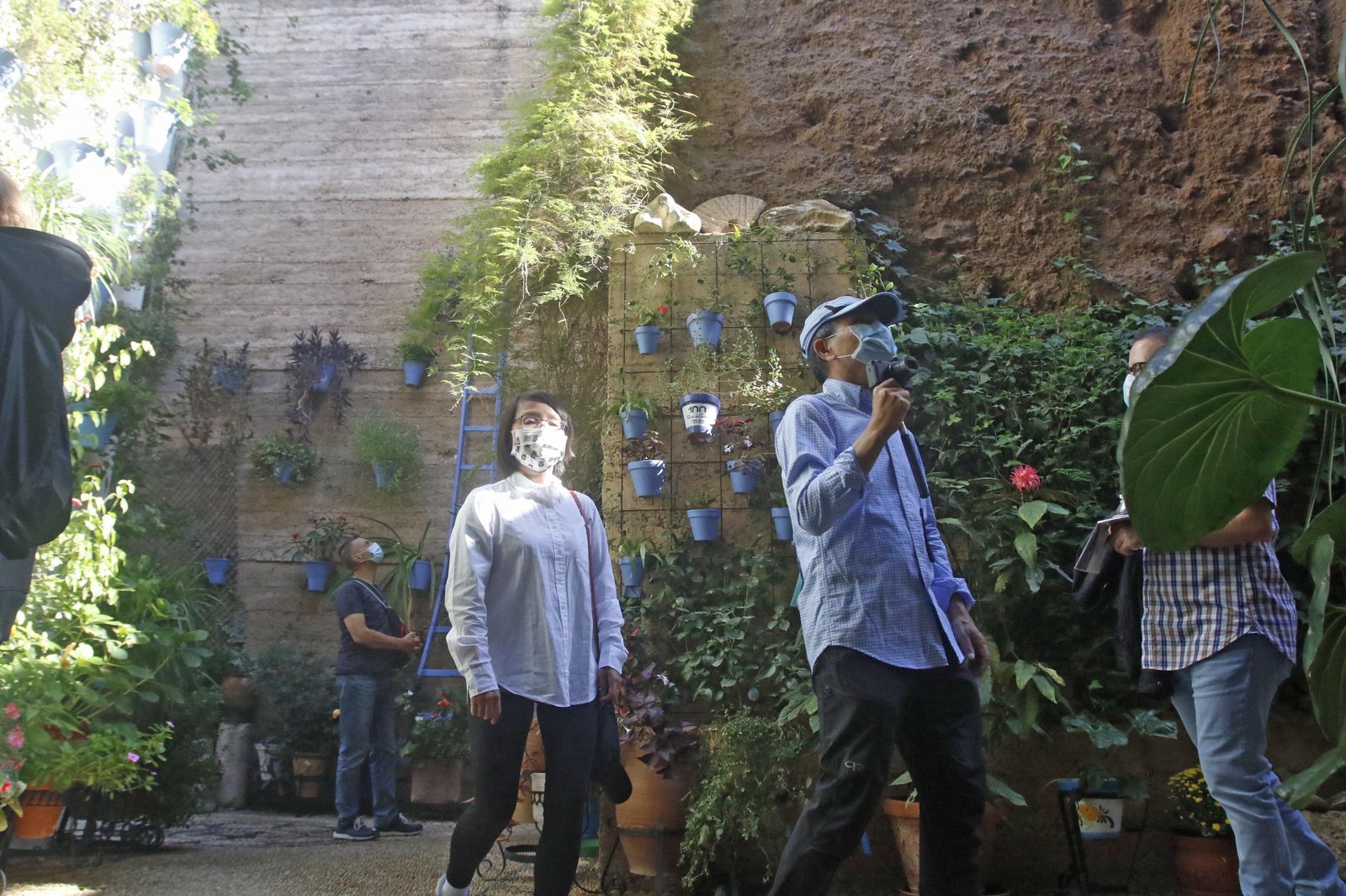 Los Patios en otoño, en fotografías