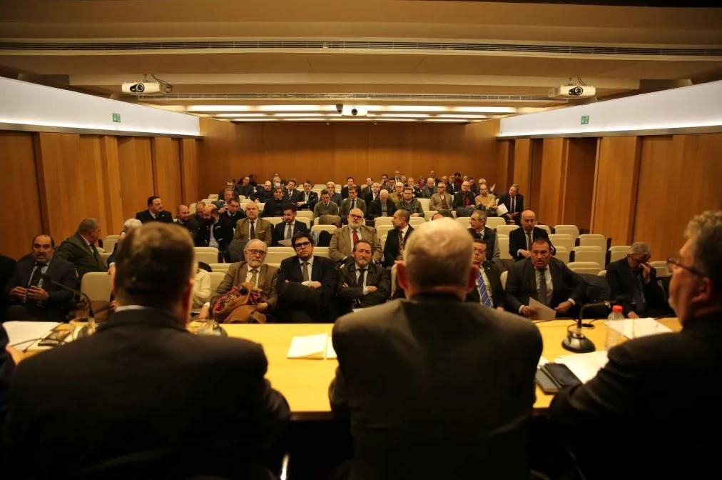 Este es el calendario de designaciones del Consejo de Hermandades para el año 2026