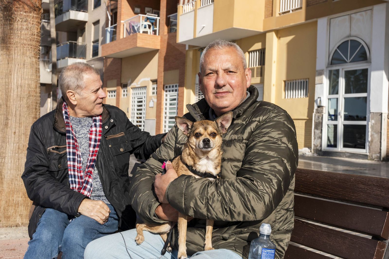 El Paseo Marítimo de Almería capital es uno de esos lugares donde se pasean buen parte de los perros, y también se abrazan.