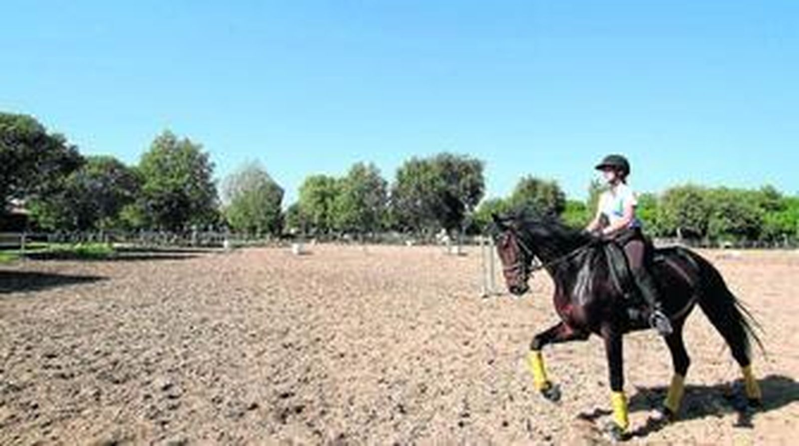 1. La pista de doma y salto, de medidas casi olímpicas, es uno de los mayores atractivos de las instalaciones. 2. José Antonio Fernández Lineros en una de las cuadras con un ejemplar español, subcampeón de Morfología. 3, 4 y 5. El centro inicia a decenas de pequeños en la hípica, enseñándoles a montar y cuidar al caballo.