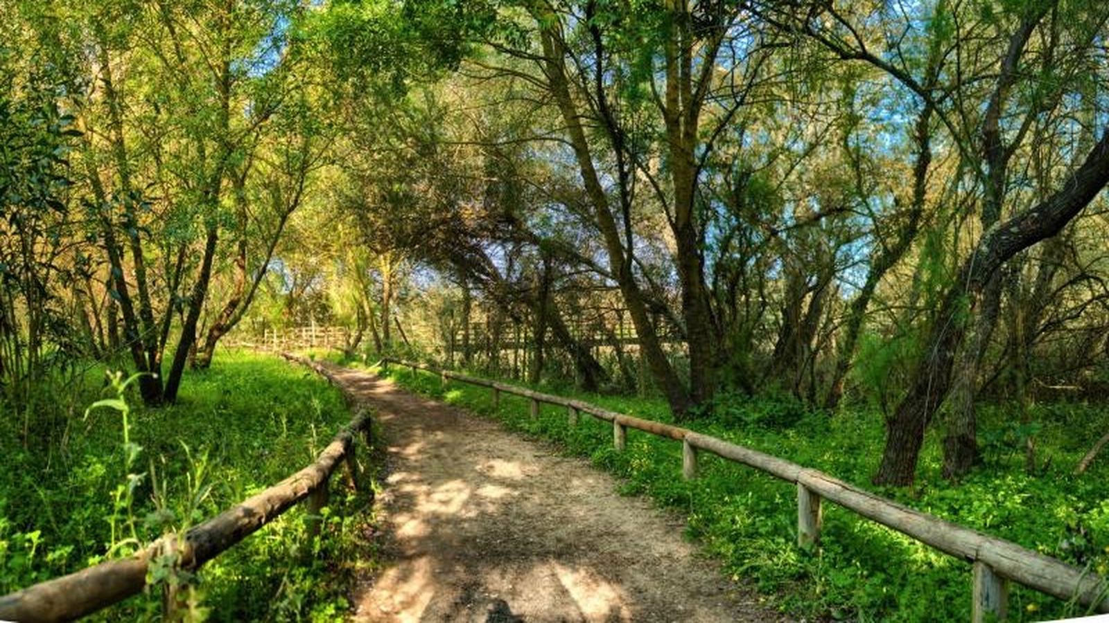 Corredor verde hacia las Doblas