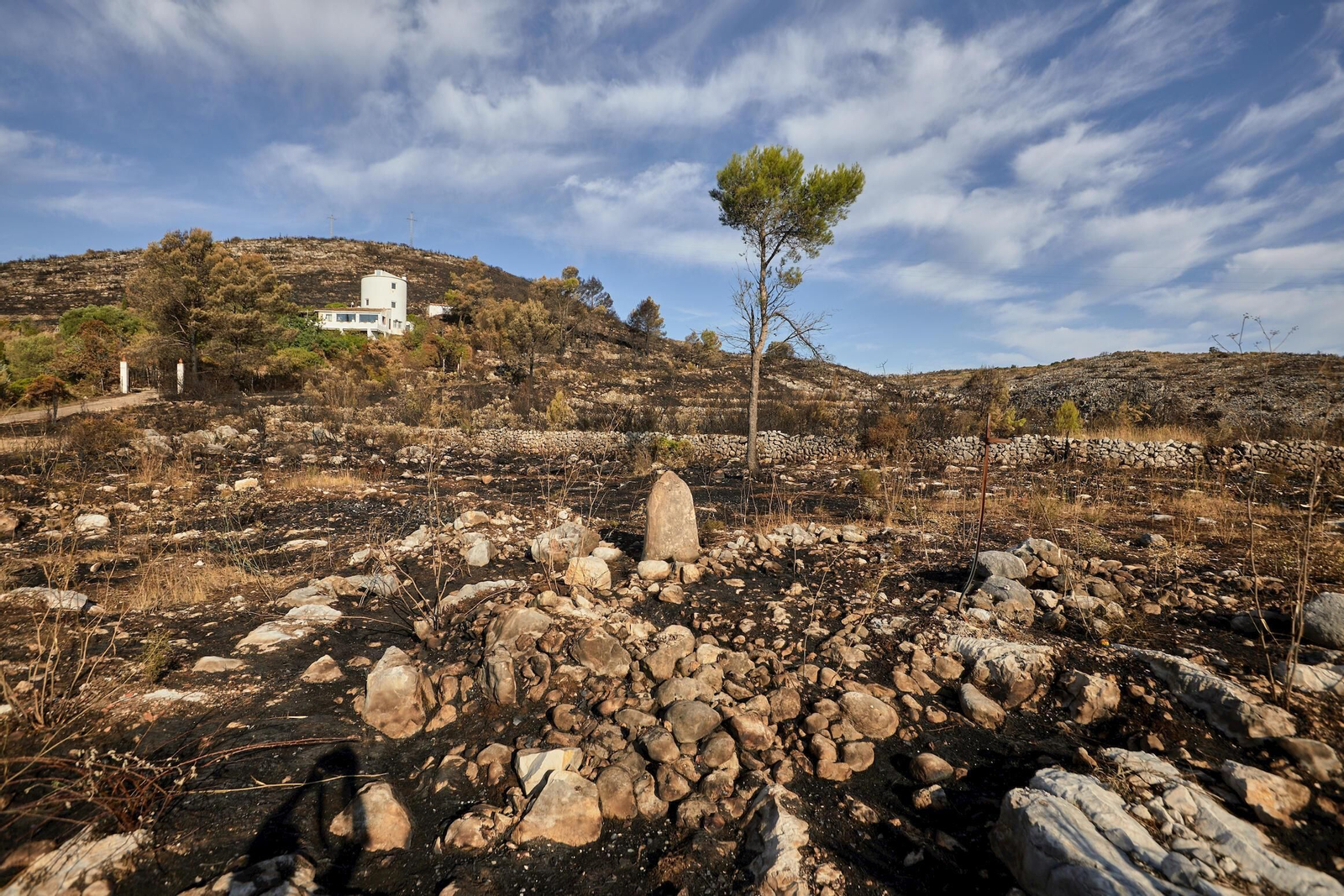 Visitar zonas recién consumidas por el fuego, un destino en auge entre algunos turistas.