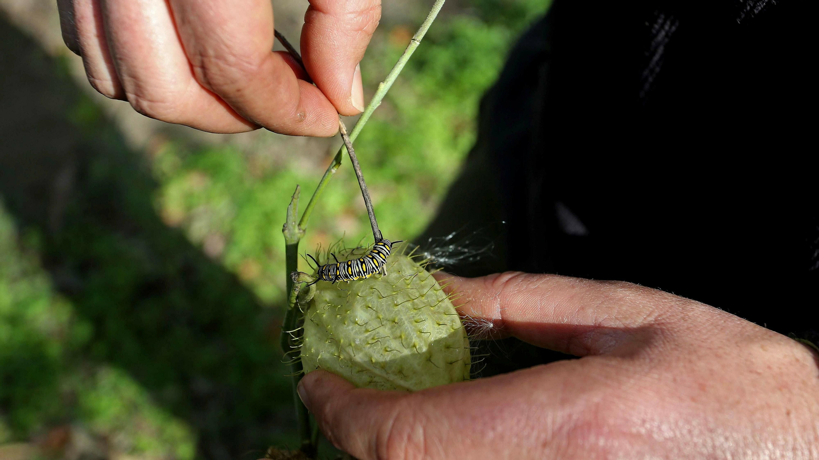 Las mejores fotos de la finca La Almoraima