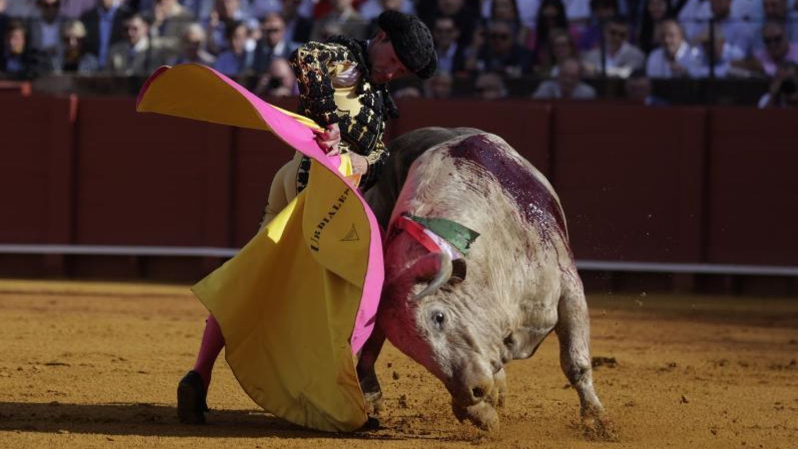 La media verónica de Diego Urdiales en uno de las pocas opciones que le dio 'Lanudo', el jabonero que abrió plaza.