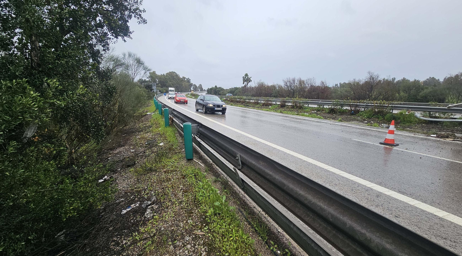 Las fotos del camión accidentado en la A-381 a la altura de Los Barrios