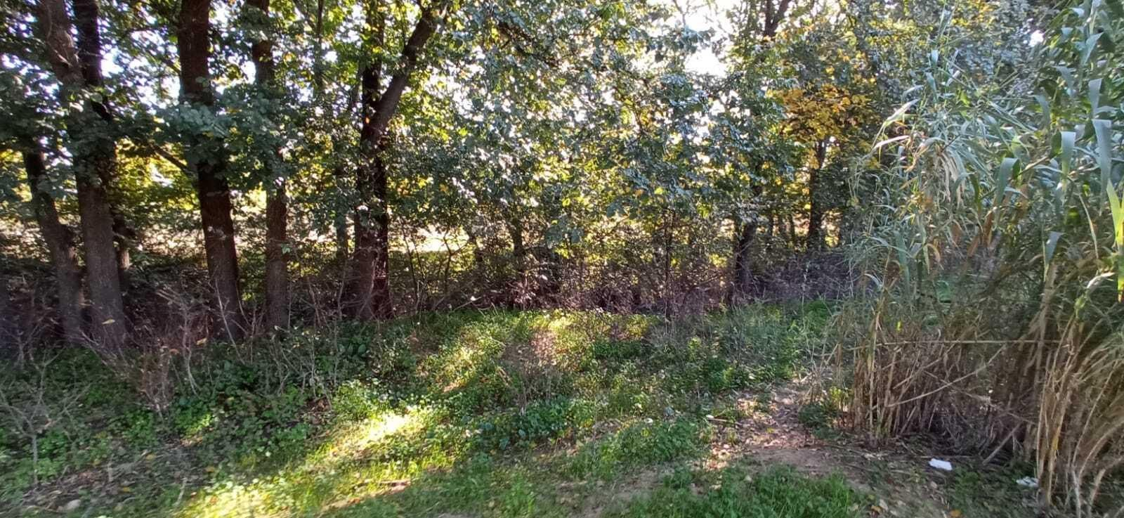 Las imágenes del Tramo I de la Ruta del Río Pudio